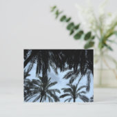 Carte Postale Ciel rempli de palme (Debout devant)