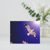 Carte Postale ciel s'ouvre (Debout devant)