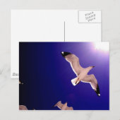 Carte Postale ciel s'ouvre (Devant / Derrière)