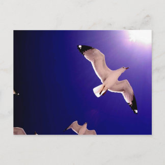 Carte Postale ciel s'ouvre