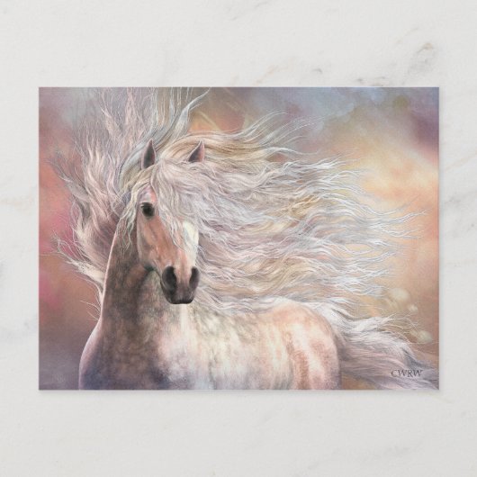 Carte postale Cielo (Devant)