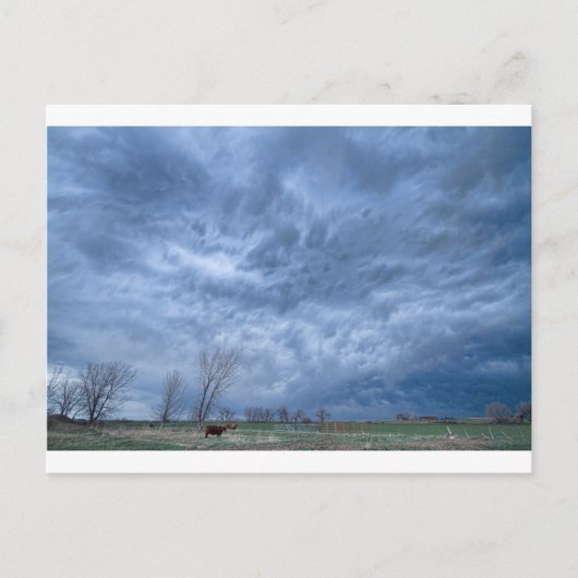 Carte Postale Ciels en colère (Devant)