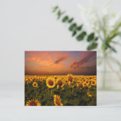 Carte Postale Ciels sanglants (Debout devant)