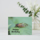 Carte Postale Cigale Photo Anniversaire (Debout devant)