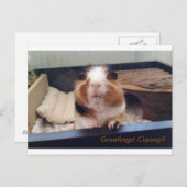 Carte postale cigar (Devant / Derrière)