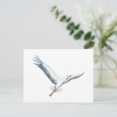 Carte Postale cigogne blanche volant (Debout devant)