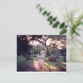 Carte Postale Cimetière (Debout devant)