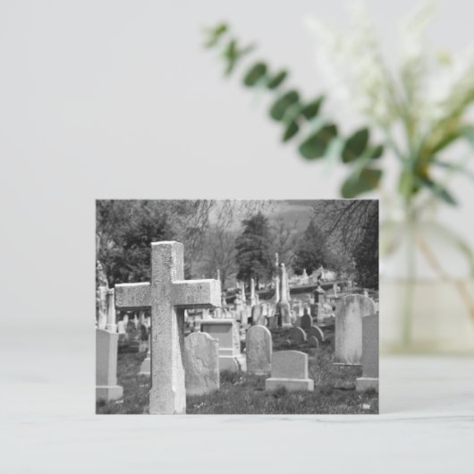 Carte Postale cimetière (Debout devant)