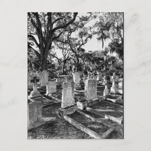 Carte Postale Cimetière Bonaventure, Savannah GA (Devant)