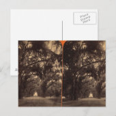 Carte Postale Cimetière Bonaventure, Savannah, Ga c. 1886 (Devant / Derrière)