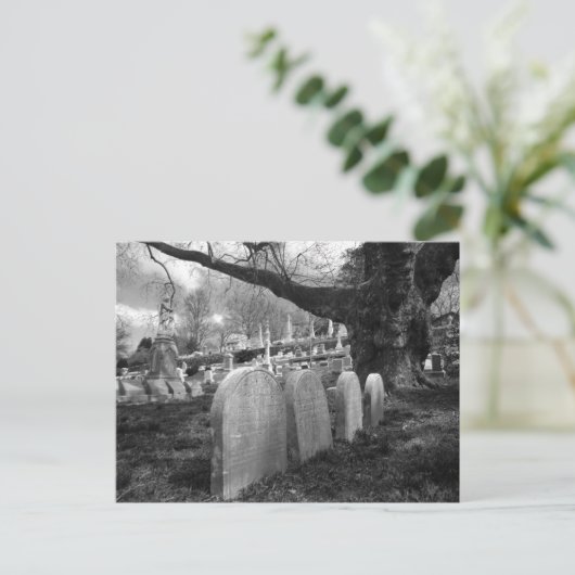 Carte Postale cimetière calme (Debout devant)