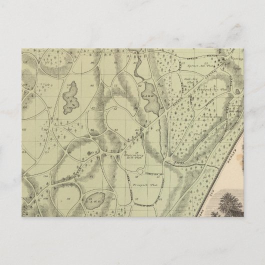 Carte Postale Cimetière de Woodlawn (Devant)