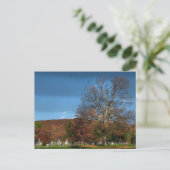 Carte Postale Cimetière en automne (Debout devant)