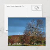 Carte Postale Cimetière en automne (Devant / Derrière)