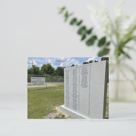 Carte Postale Cimetière Muckle Grove, Georgetown, SC (Debout devant)