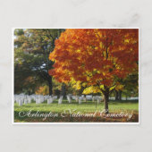 Carte Postale Cimetière national d'Arlington (Devant)