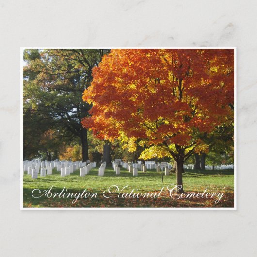 Carte Postale Cimetière national d'Arlington (Devant)
