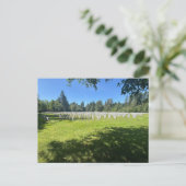Carte Postale Cimetière paisible (Debout devant)