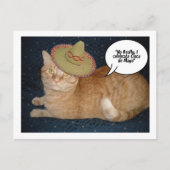 Carte Postale Cinco de Mayo (Devant)