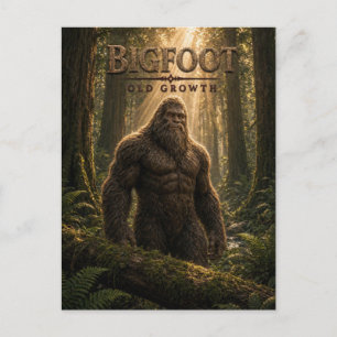 Carte Postale Cinéma sombre de la vieille forêt de Bigfoot