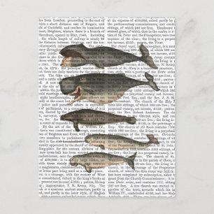 Carte Postale Cinq baleines Vintages