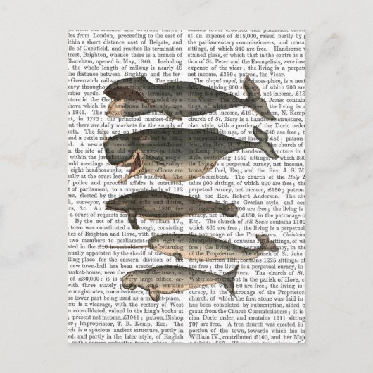 Carte Postale Cinq baleines Vintages (Devant)