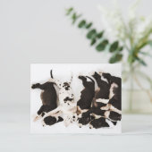 Carte Postale Cinq chiots Harlequin Great Dane dormant dans (Debout devant)