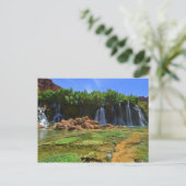 Carte Postale Cinquante chutes de pieds (Debout devant)