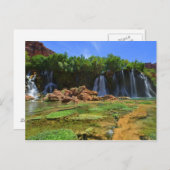 Carte Postale Cinquante chutes de pieds (Devant / Derrière)