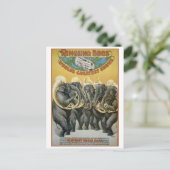 Carte Postale Circus Elephants Brass Band (Debout devant)