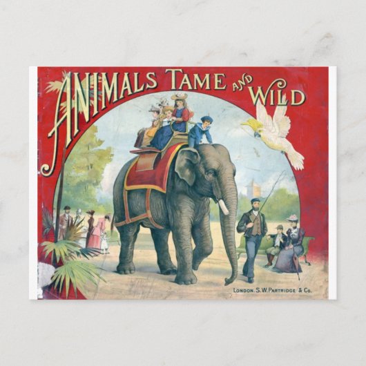 Carte postale Circus Vintage Design (Devant)