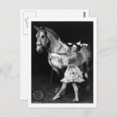 Carte Postale Cirque Girl with Horse, 1908 (Devant / Derrière)