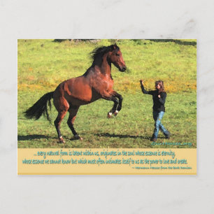 Carte Postale Citation arrière Patrik