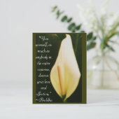 Carte Postale Citation Bouddha (Debout devant)