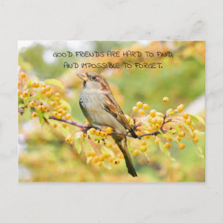 Carte Postale Citation d'amitié Oiseau et Fleurs Jaunes