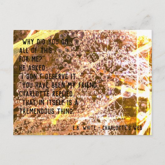 Carte Postale Citation d'amitié personnalisable - Le Réseau de C (Devant)