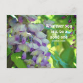 Carte Postale Citation d'attitude de fleur de glycine  (Devant)