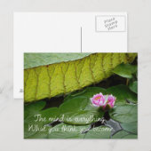 Carte Postale Citation de Bouddha (Devant / Derrière)