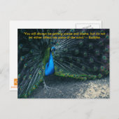 Carte postale Citation de Bouddha (Devant / Derrière)