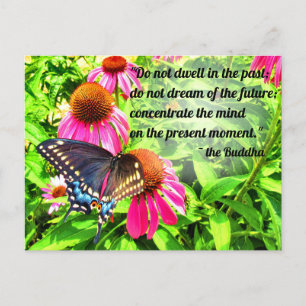 Carte Postale Citation de Bouddha Papillon Papilio noir Fleurs