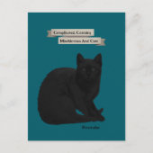 Carte Postale Citation de chat noir mystérieux rose sarcelle per (Devant)