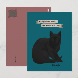 Carte Postale Citation de chat noir mystérieux Teal Rose personn