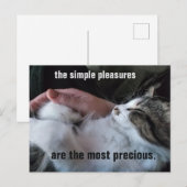 Carte Postale Citation de Chaton Mignon Simples Plaisirs Personn (Devant / Derrière)