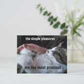 Carte Postale Citation de Chatons Mignons Plaisirs Simples Perso (Debout devant)