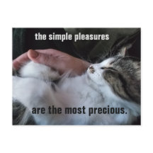 Citation de Chatons Mignons Plaisirs Simples Perso