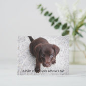 Carte Postale Citation de chiot (Debout devant)
