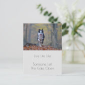 Carte Postale Citation de la positivité du chien (Debout devant)