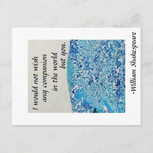 Carte Postale Citation de Shakespeare Friendship