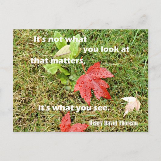 Carte Postale Citation de Thoreau : Ce n'est pas ce que vous reg (Devant)