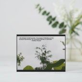 Carte Postale Citation de Wallace Stevens (Debout devant)